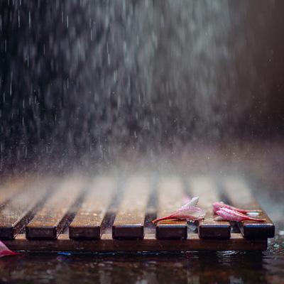 鲍勃体育下载